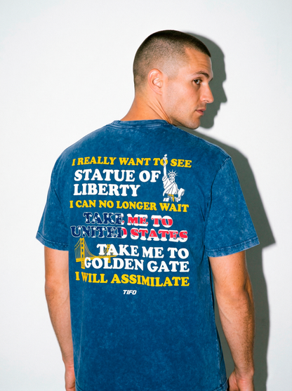 I AM FROM BOSNIA TAKE ME TO AMERICA - CAMISETA EFECTO LAVADO